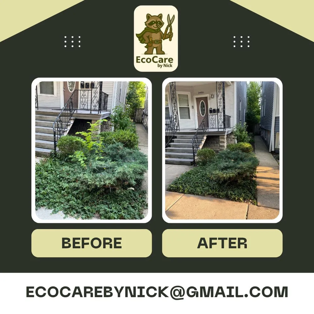 Expert yard cleanup service experts serving River Grove, IL - EcoCare by Nick
