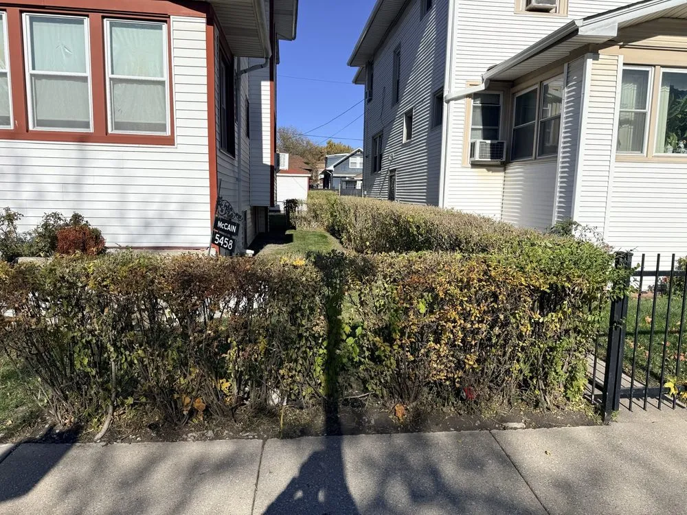 Expert landscape installation in River Grove, IL by EcoCare by Nick