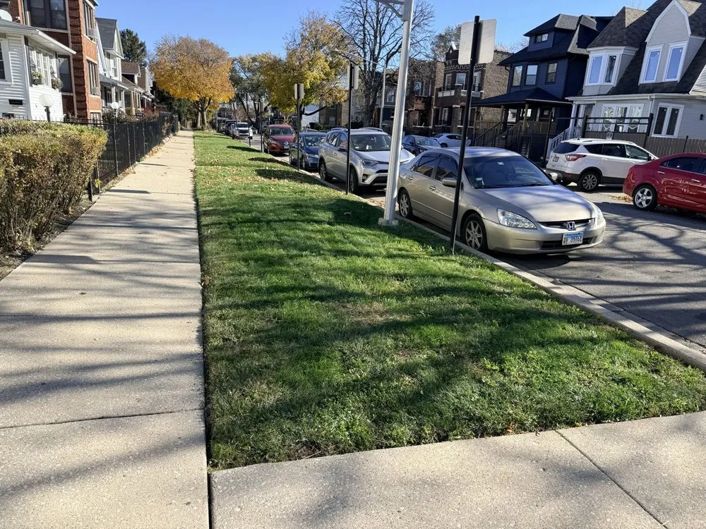 Local lawn mowing service experts serving River Grove, IL - EcoCare by Nick