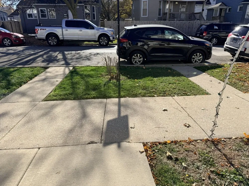 Expert yard cleanup service in River Grove, IL - EcoCare by Nick