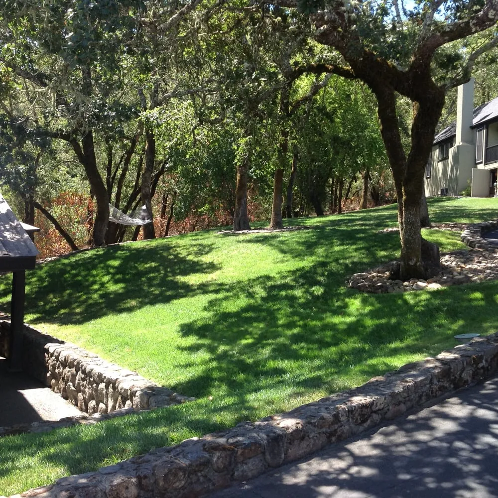 Expert residential landscaping in Santa Rosa, CA by EcoCut and Trim