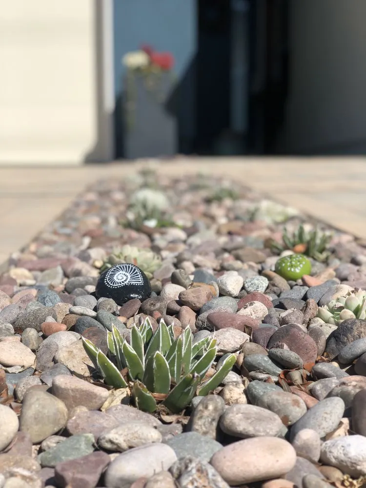 Affordable garden landscaping in San Diego, CA by EcoDesignSD