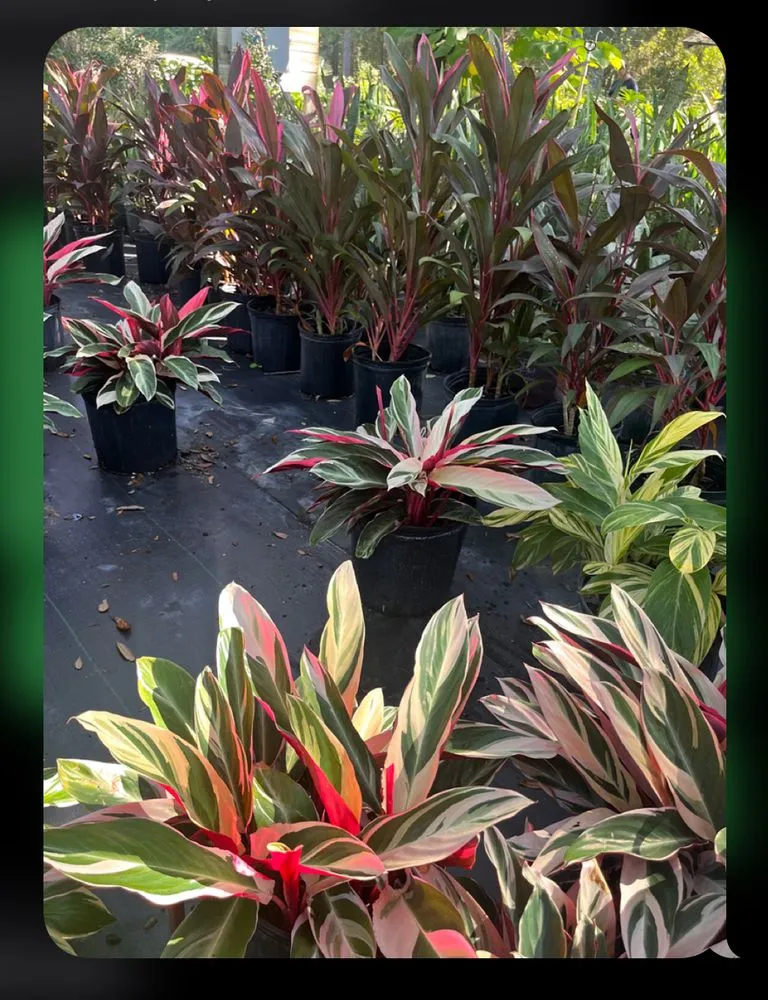 Trusted landscape design experts serving Gainesville, FL - EcoFern Landscaping