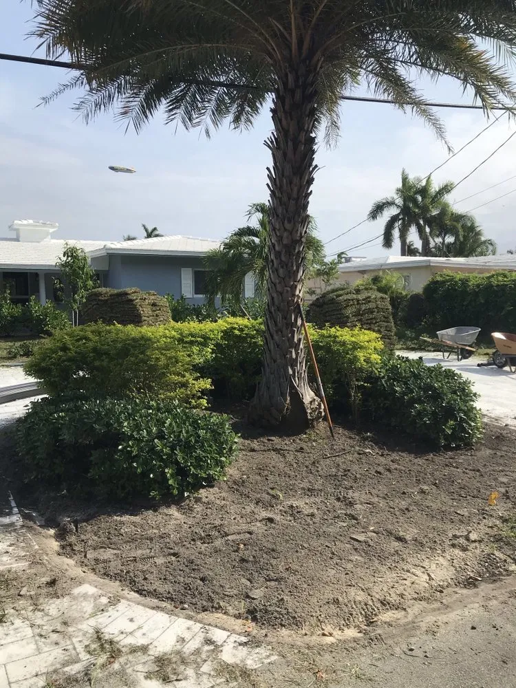 Trusted residential landscaping for year-round maintenance across Gainesville, FL - EcoFern Landscaping