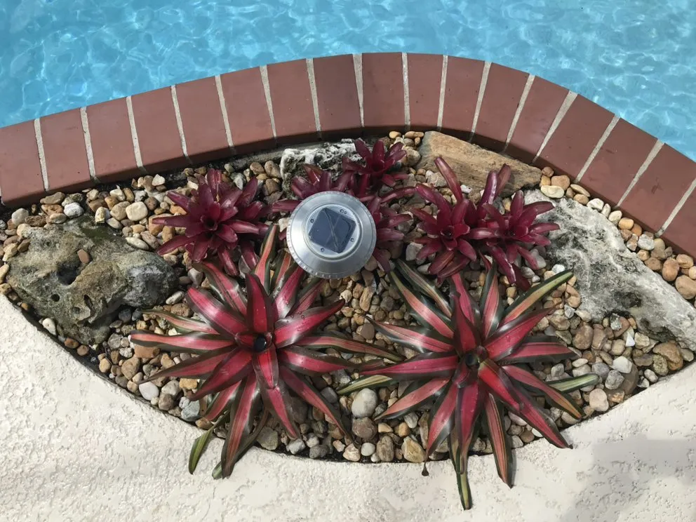 Trusted landscape installation for year-round maintenance in Gainesville, FL by EcoFern Landscaping