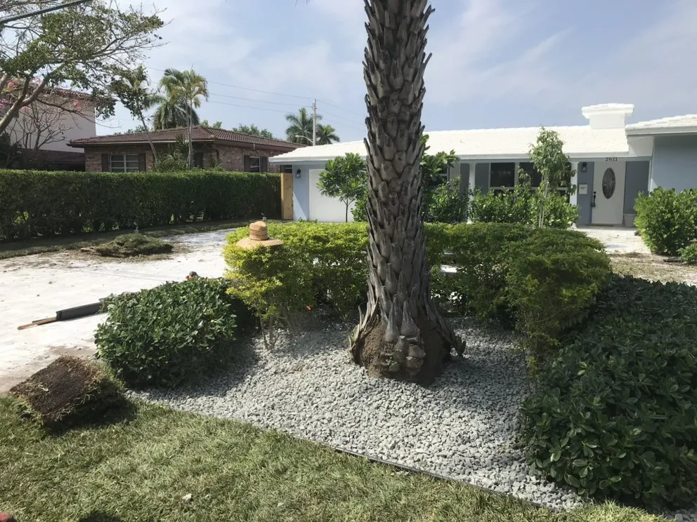 Top-rated residential landscaping with custom design in Gainesville, FL by EcoFern Landscaping