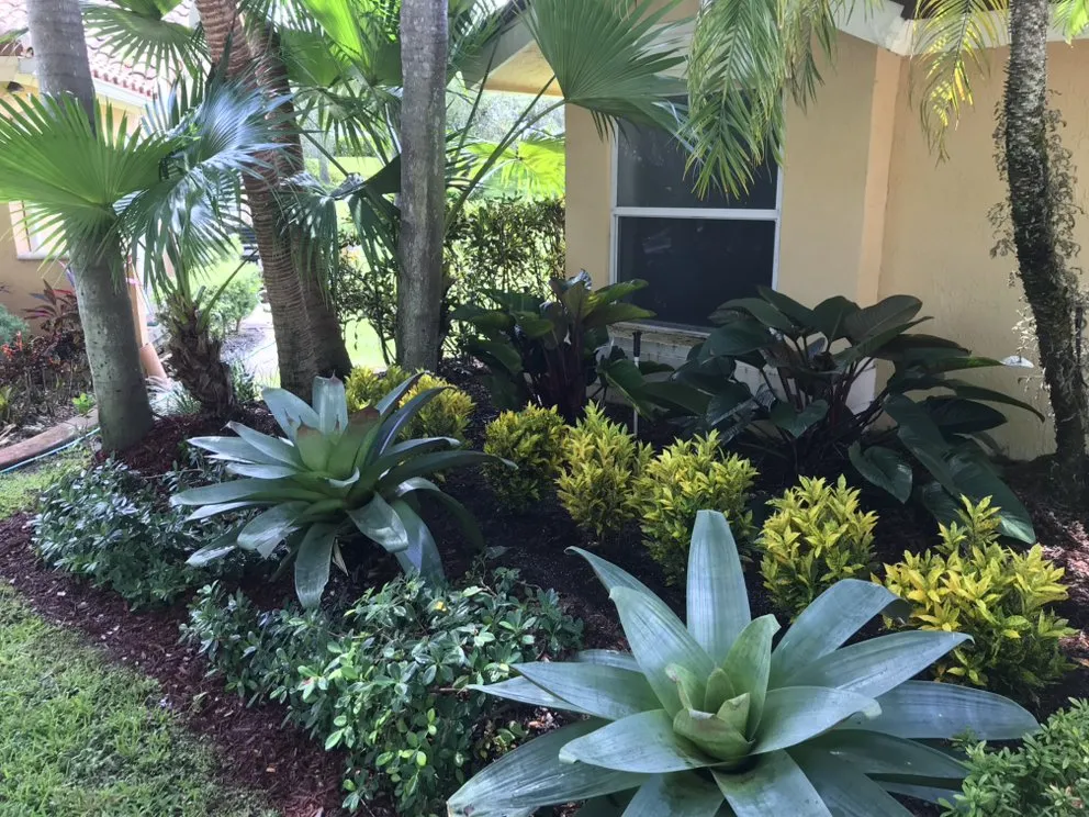Local lawn care service for homes across Gainesville, FL - EcoFern Landscaping
