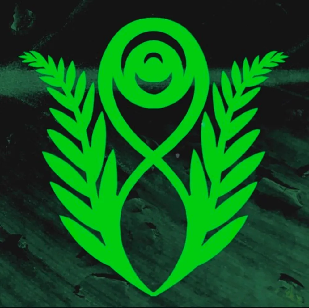 Expert yard cleanup service experts serving Gainesville, FL - EcoFern Landscaping