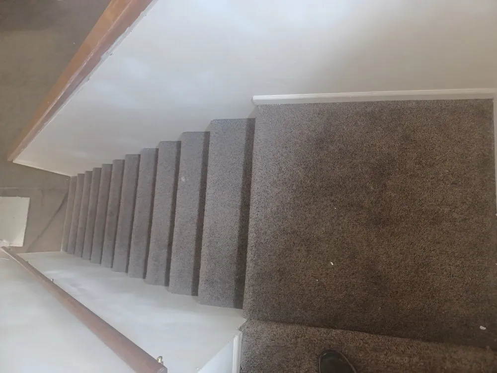 Professional landscaping services near you in Shawnee, KS by EcoFocus Lighting and Landscape