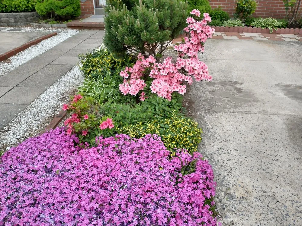 Local landscape installation in Fort Myers, FL by Ecofriendly Garden Care