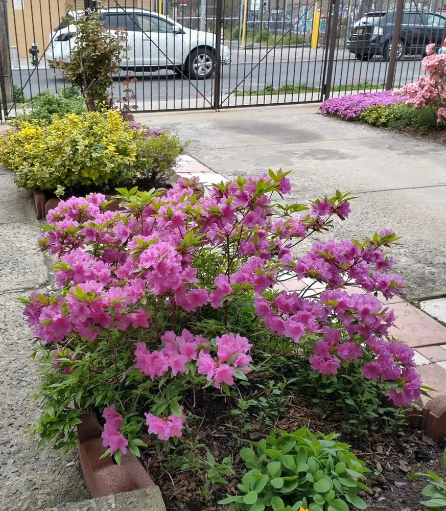 Reliable garden landscaping experts serving Fort Myers, FL - Ecofriendly Garden Care