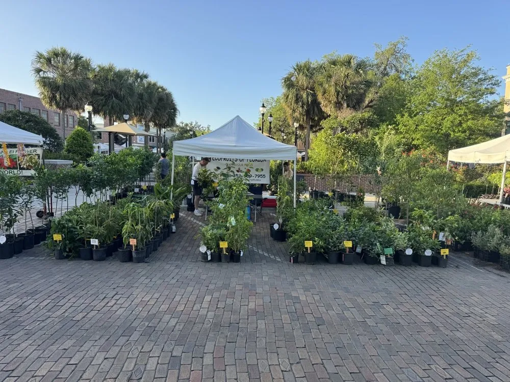 Top-rated landscape installation experts serving Winter Garden, FL - Ecofruits of Florida