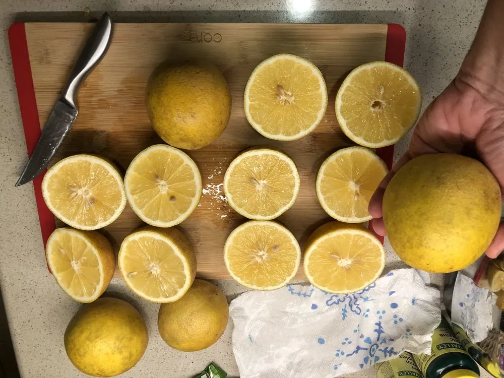 Professional yard cleanup service in Winter Garden, FL - Ecofruits of Florida