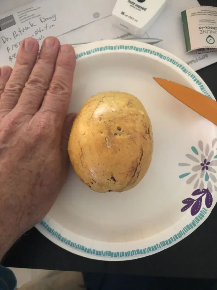 Expert landscaping services in Winter Garden, FL - Ecofruits of Florida