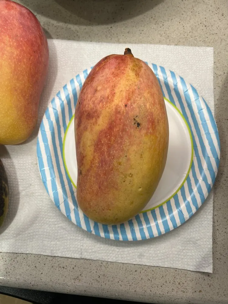 Local outdoor landscaping experts serving Winter Garden, FL - Ecofruits of Florida