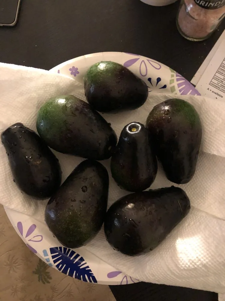 Custom landscaping services for homes across Winter Garden, FL - Ecofruits of Florida