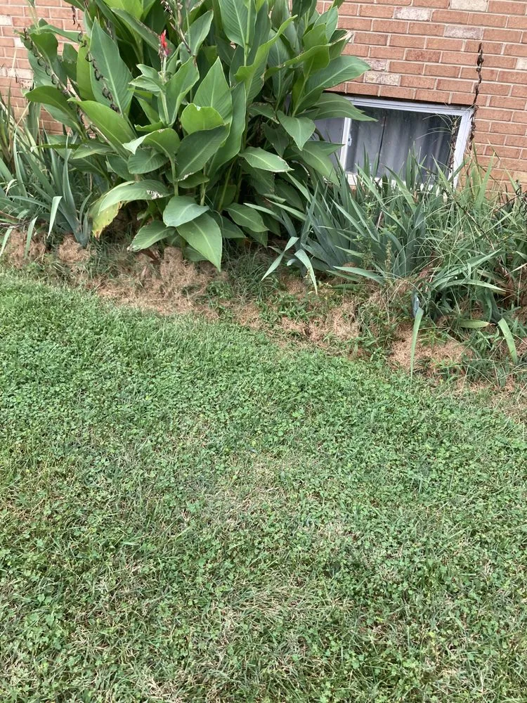 Expert landscaping services for residential properties in Silver Spring, MD by Ecogardens Landscaping