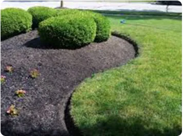Reliable lawn care service for residential properties across Silver Spring, MD - Ecogardens Landscaping