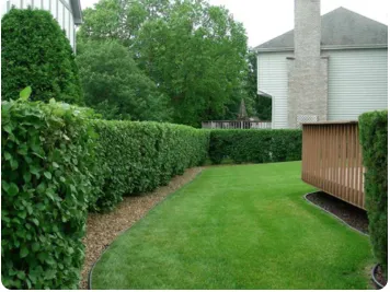 Custom lawn care service near you in Silver Spring, MD by Ecogardens Landscaping