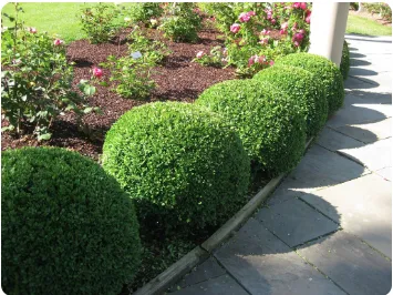 Expert landscaping services in Silver Spring, MD - Ecogardens Landscaping