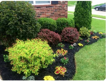 Expert garden landscaping in Silver Spring, MD by Ecogardens Landscaping