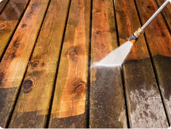 Affordable yard cleanup service in Silver Spring, MD by Ecogardens Landscaping