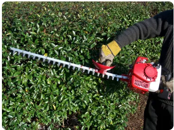 Professional garden landscaping with custom design across Silver Spring, MD - Ecogardens Landscaping