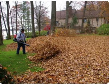 Reliable yard cleanup service in Silver Spring, MD by Ecogardens Landscaping