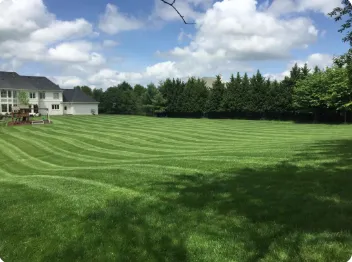 Custom lawn care service with custom design across Silver Spring, MD - Ecogardens Landscaping