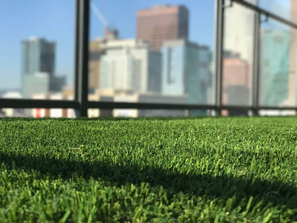 Local outdoor landscaping for homes in Chula Vista, CA by Ecograss