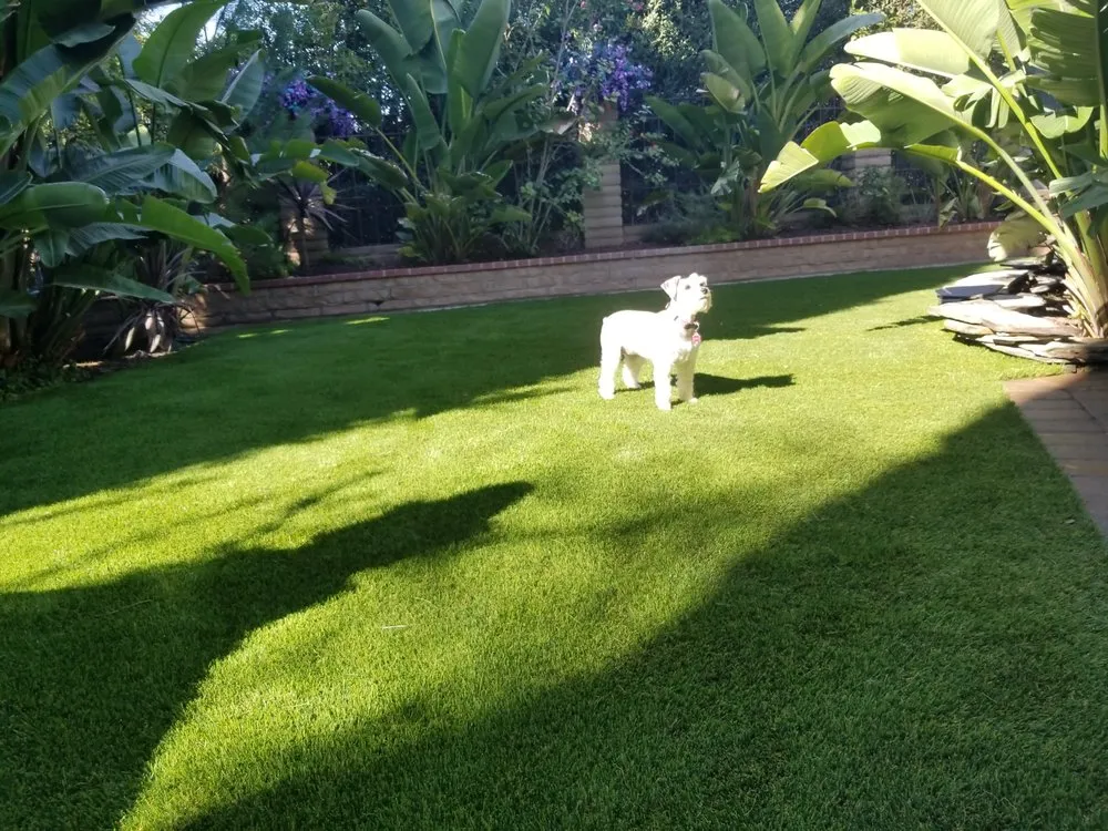 Affordable garden landscaping experts serving Chula Vista, CA - Ecograss