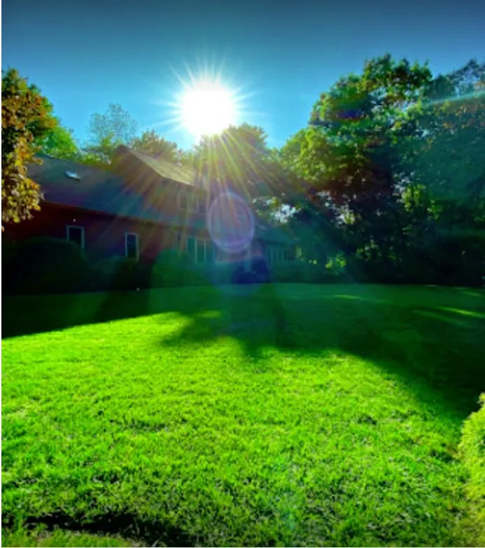 Professional yard cleanup service for homes in Franklin, MA by Ecograss Landscaping