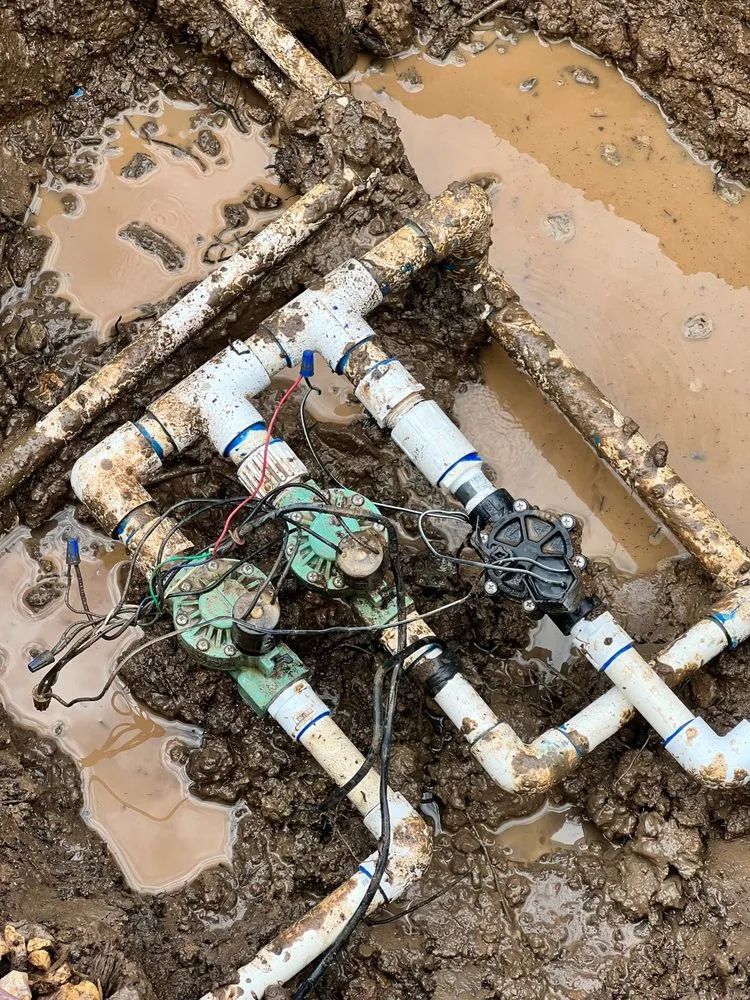 Trusted landscape installation for residential properties in Hesperia, CA by Ecogreen Landscape