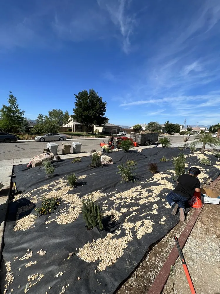 Professional outdoor landscaping for beautiful yards across Rancho Cucamonga, CA - Ecogreen landscaping & designs