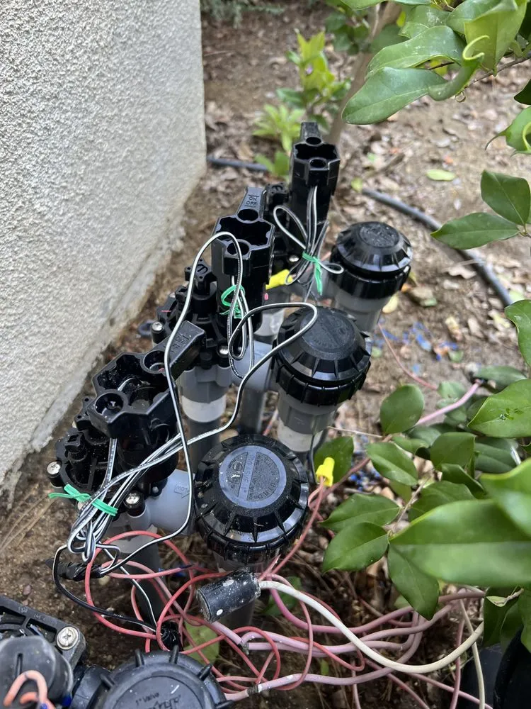 Affordable yard cleanup service for year-round maintenance in Rancho Cucamonga, CA by Ecogreen landscaping & designs