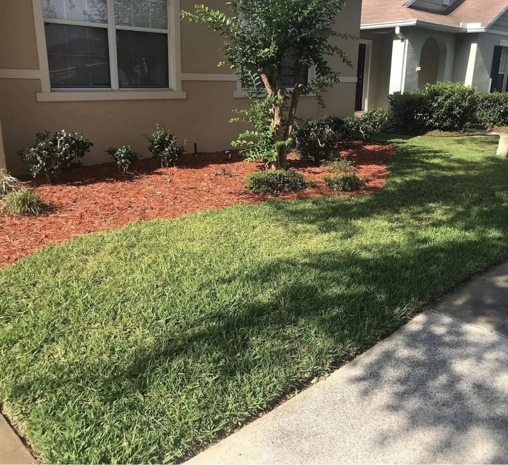 Reliable landscaping services in Orlando, FL - Ecogreen Lawn & Pressure Washing