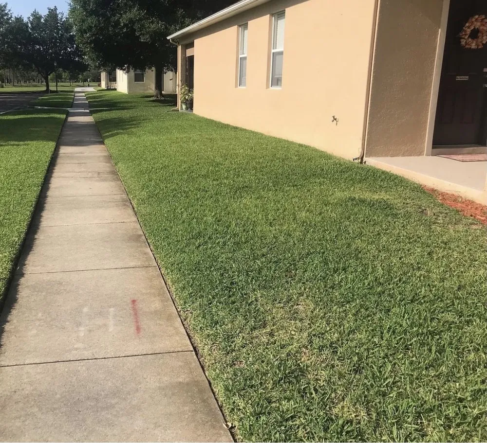 Trusted outdoor landscaping in Orlando, FL - Ecogreen Lawn & Pressure Washing