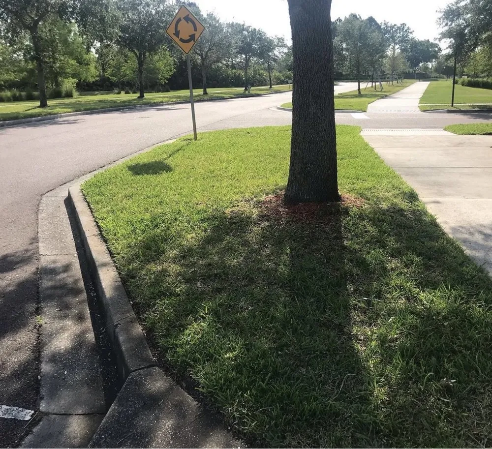 Affordable lawn care service in Orlando, FL - Ecogreen Lawn & Pressure Washing