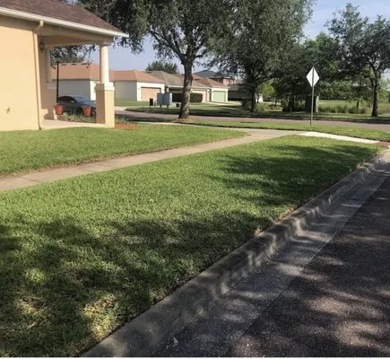 Ecogreen Lawn & Pressure Washing Logo