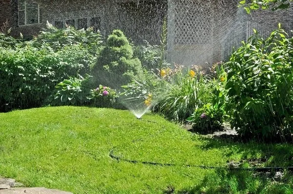 Trusted lawn care service in Eagleville, PA by EcoGreen Lawn Care