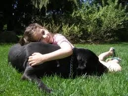 Top-rated lawn care service for year-round maintenance across Eagleville, PA - EcoGreen Lawn Care