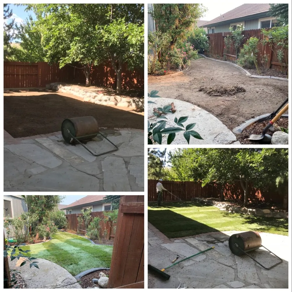 Custom landscape design for outdoor upgrades in Reno, NV by EcoGreen Lawn Care