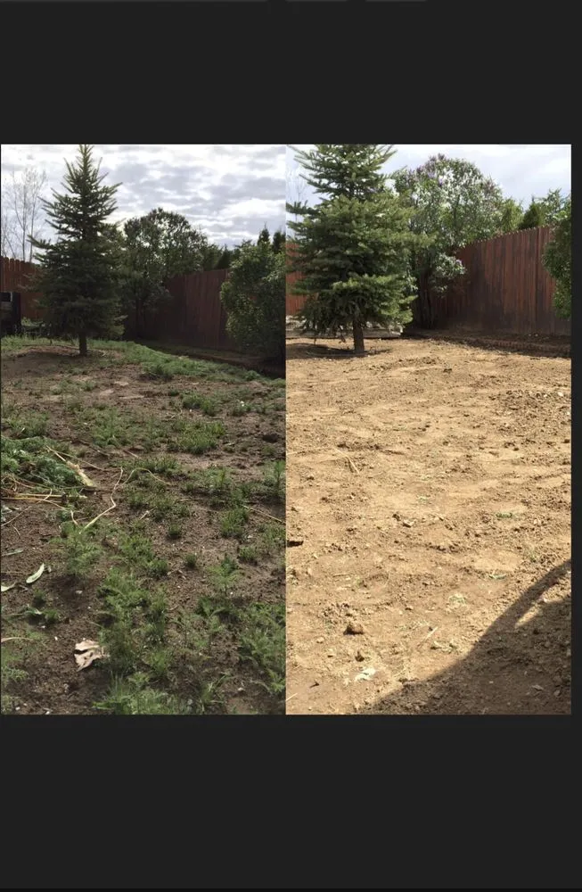 Professional outdoor landscaping with custom design in Reno, NV by EcoGreen Lawn Care