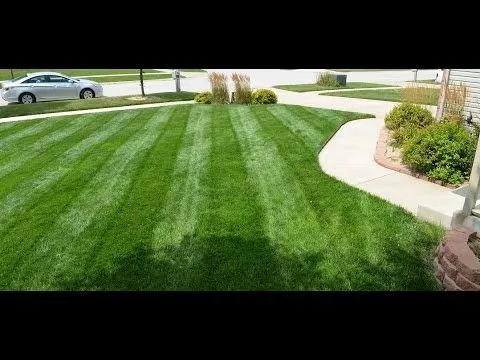 Expert lawn mowing service with custom design across Reno, NV - EcoGreen Lawn Care