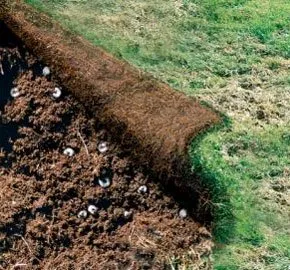 Expert landscape installation for outdoor upgrades across Pine Beach, NJ - Ecoguard Pest & Turf