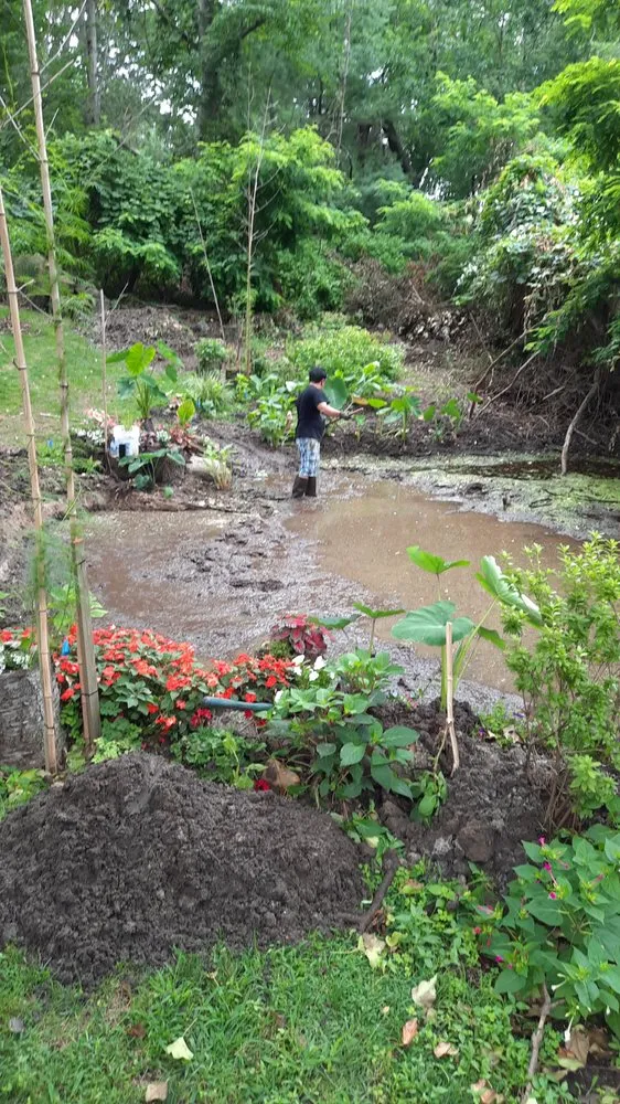 Reliable residential landscaping experts serving Riverhead, NY - EcoHomeNY Designs