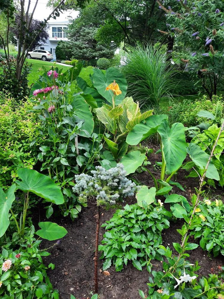 Trusted outdoor landscaping experts serving Riverhead, NY - EcoHomeNY Designs