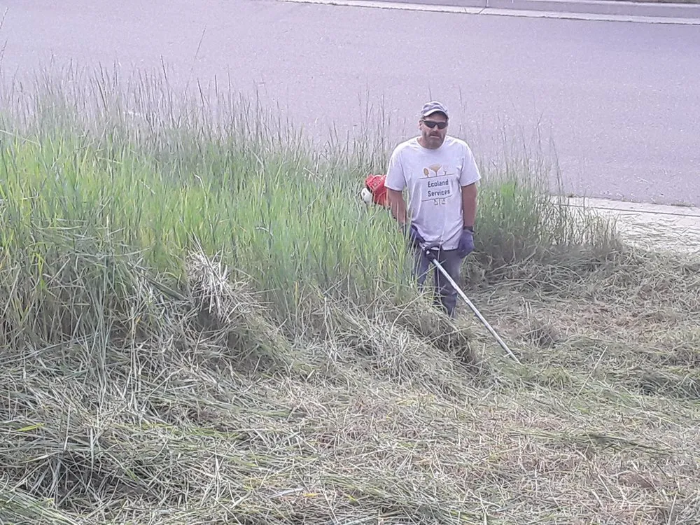 Affordable landscaping services for homes across Missoula, MT - Ecoland Services