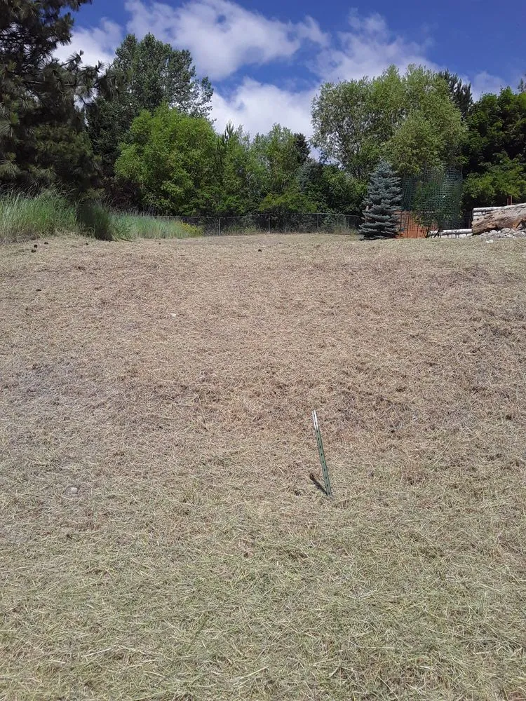 Professional yard cleanup service experts serving Missoula, MT - Ecoland Services