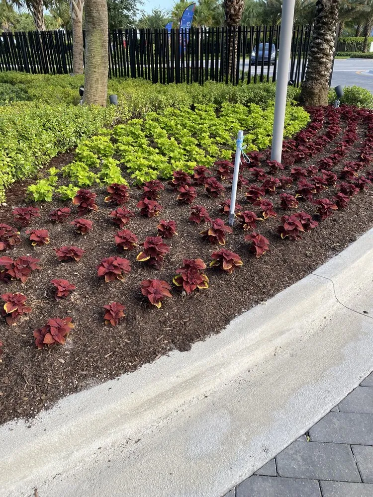 Local garden landscaping experts serving North Miami, FL - Ecolands